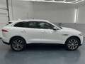 Jaguar F-Pace 20d AWD Prestige Aut. * SOFORT FINANZIERUNG MÖG... Weiß - thumbnail 6