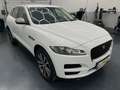 Jaguar F-Pace 20d AWD Prestige Aut. * SOFORT FINANZIERUNG MÖG... Weiß - thumbnail 7