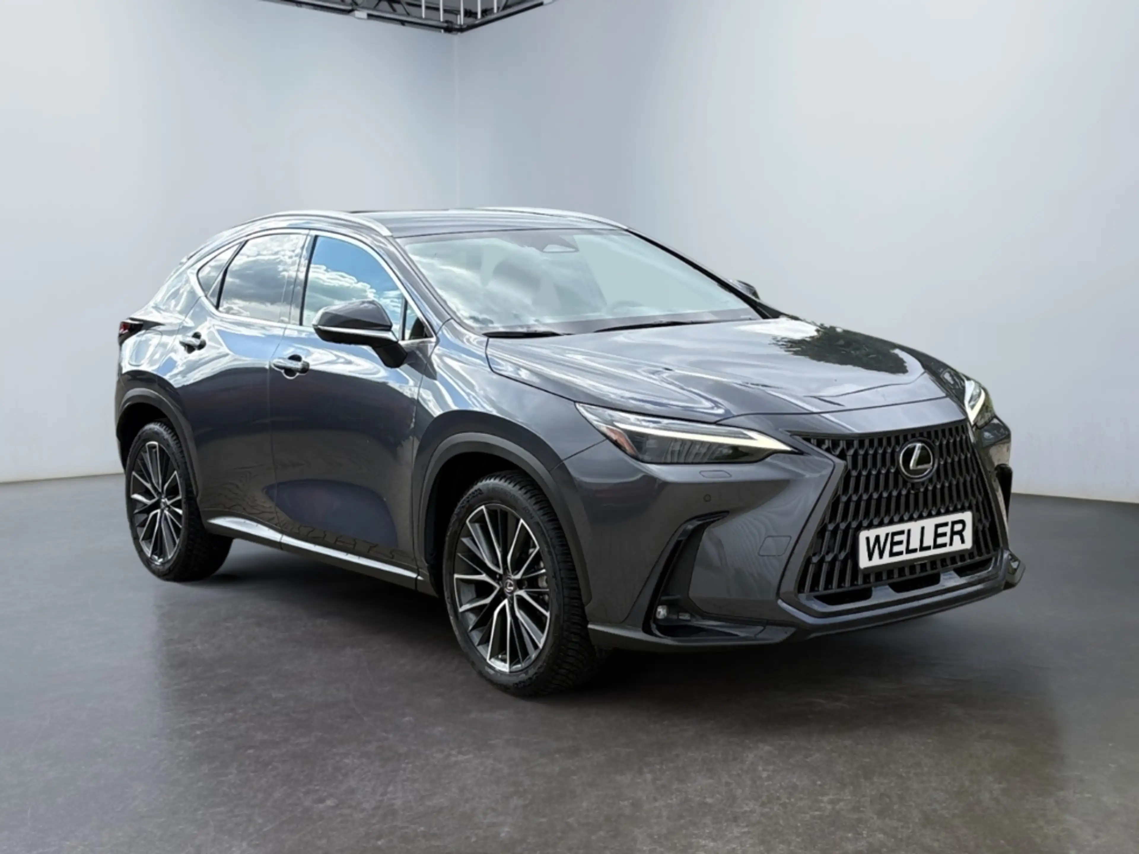 Lexus NX 450h+ Luxury *4x4*360°*LED*PDC v.&h.*SHZ*Klima*Allwetter — photo 3