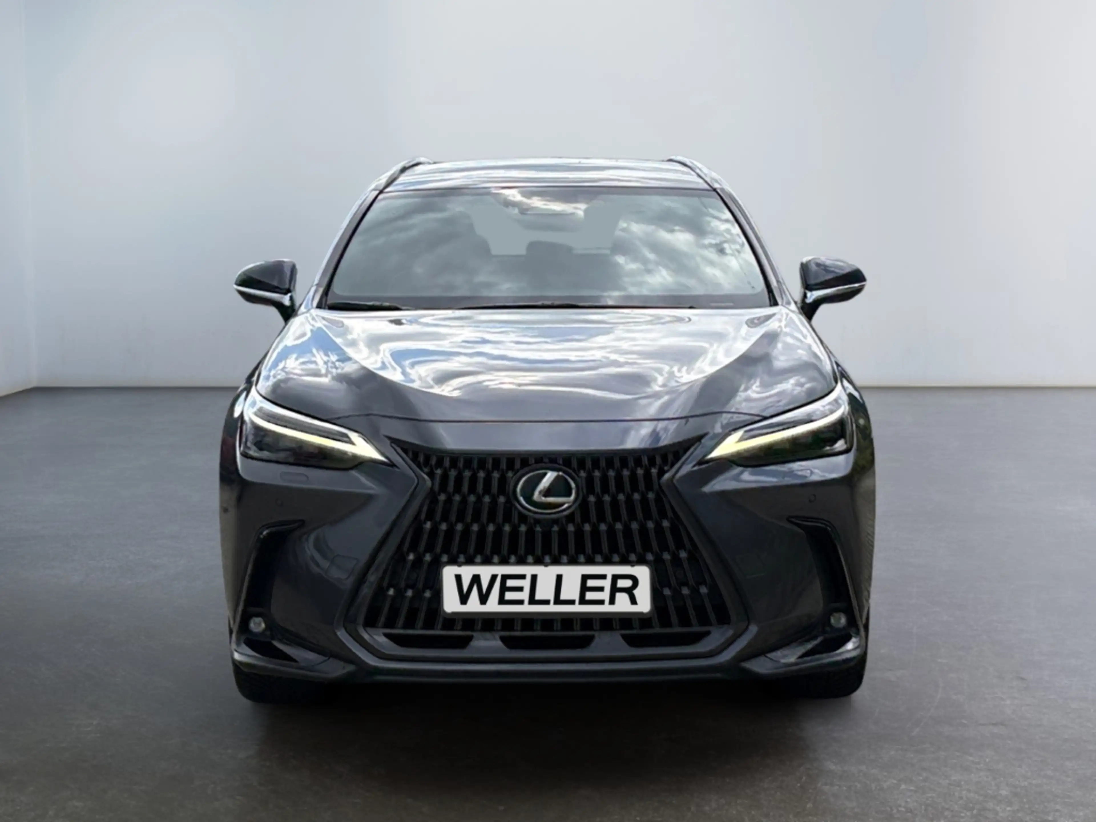 Lexus NX 450h+ Luxury *4x4*360°*LED*PDC v.&h.*SHZ*Klima*Allwetter — photo 2