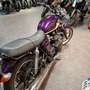 Triumph Bonneville SE - thumbnail 2