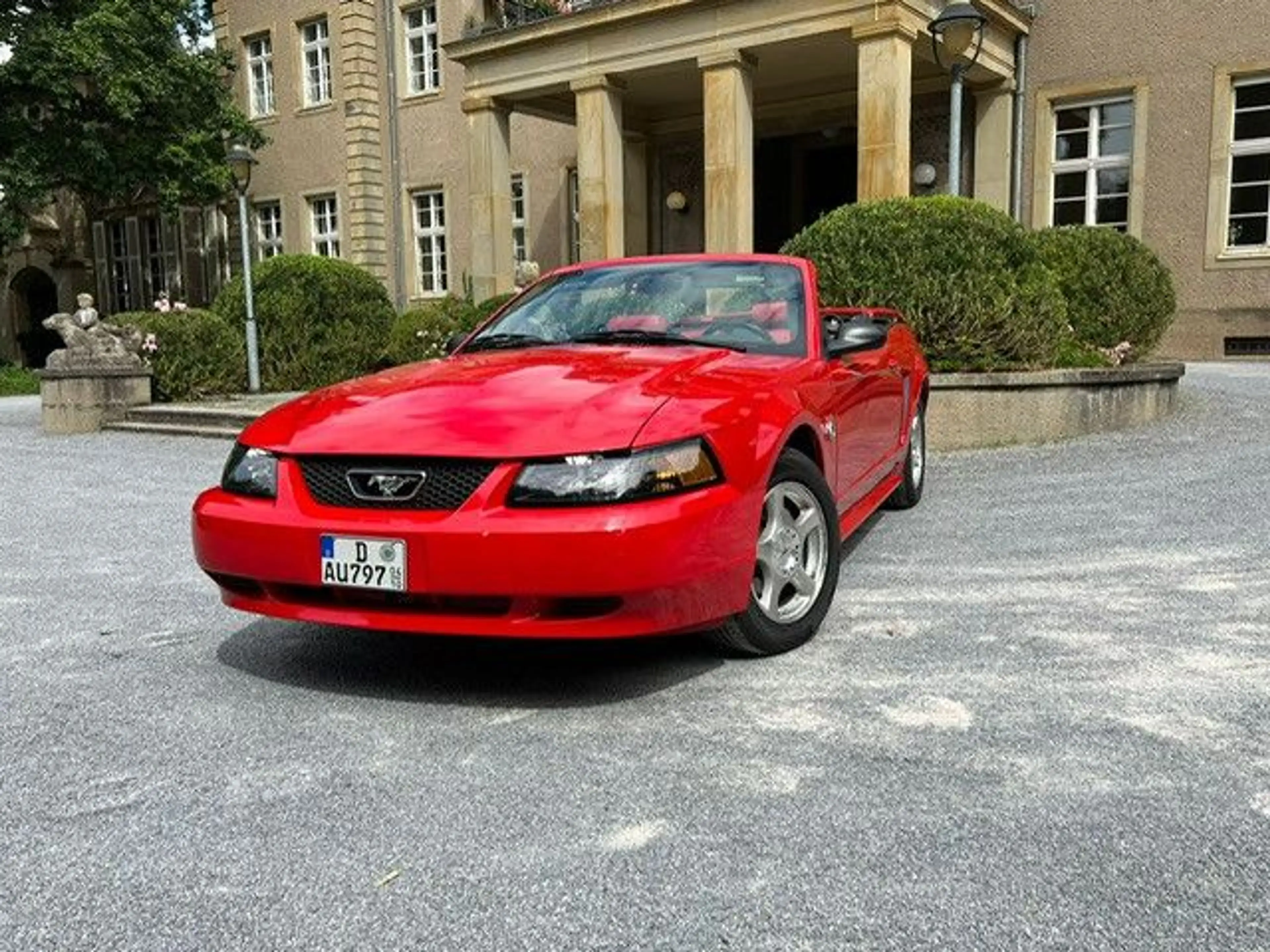 Ford Mustang Leder