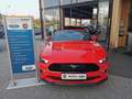 Ford Mustang 5,0 Ti-VCT V8 GT Cabrio Aut. Rot - thumbnail 3
