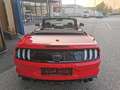 Ford Mustang 5,0 Ti-VCT V8 GT Cabrio Aut. Rot - thumbnail 13