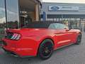 Ford Mustang 5,0 Ti-VCT V8 GT Cabrio Aut. Rot - thumbnail 12