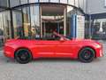 Ford Mustang 5,0 Ti-VCT V8 GT Cabrio Aut. Rot - thumbnail 9