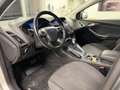 Ford Focus SW 2.0 tdci Plus 115cv powershift Silber - thumbnail 6