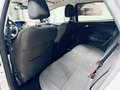 Ford Focus SW 2.0 tdci Plus 115cv powershift Silber - thumbnail 7