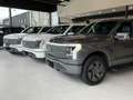 Ford F 150 LIGHTNING Lariat STD Wit - thumbnail 32