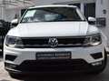 Volkswagen Tiguan Comfortline/ACC/ALU/WinterP/SHZ/ Blanc - thumbnail 19