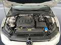 Volkswagen Golf Variant variant 2.0 tdi life 115cv Weiß - thumbnail 11