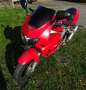 Honda VTR 1000 F mit LeoVince Rot - thumbnail 10