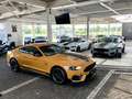 Ford Mustang Mach1 RECARO |Frontkamera + Parktronik Orange - thumbnail 8