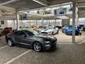Ford Mustang Mach1 RECARO |Frontkamera + Parktronik Orange - thumbnail 48