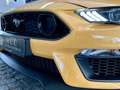 Ford Mustang Mach1 RECARO |Frontkamera + Parktronik Orange - thumbnail 43