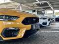 Ford Mustang Mach1 RECARO |Frontkamera + Parktronik Orange - thumbnail 15
