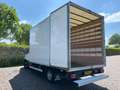 Iveco Daily 35C16 Achterdeuren (15 diverse modellen op voorraa Wit - thumbnail 16