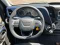 Iveco Daily 35C16 Achterdeuren (15 diverse modellen op voorraa Wit - thumbnail 27