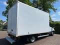 Iveco Daily 35C16 Achterdeuren (15 diverse modellen op voorraa Wit - thumbnail 7