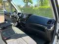 Iveco Daily 35C16 Achterdeuren (15 diverse modellen op voorraa Wit - thumbnail 34