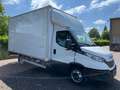 Iveco Daily 35C16 Achterdeuren (15 diverse modellen op voorraa Wit - thumbnail 5