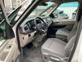 Volkswagen T7 California Coast 2.0 TDI AHK Weiß - thumbnail 5