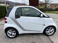 smart forTwo Fortwo II 2007 0.8 cdi Passion 45cv Bianco - thumbnail 11