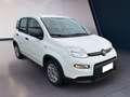 Fiat Panda My23 1.0 70cv Hybrid Panda Blanc - thumbnail 3