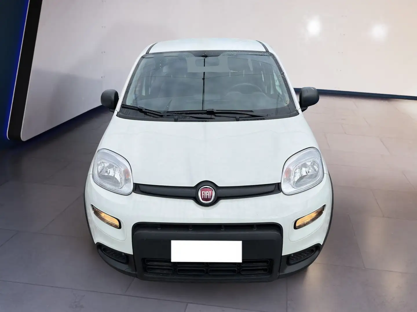Fiat Panda My23 1.0 70cv Hybrid Panda Blanc - 1