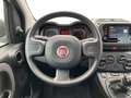 Fiat Panda My23 1.0 70cv Hybrid Panda Blanc - thumbnail 11