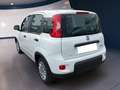 Fiat Panda My23 1.0 70cv Hybrid Panda Blanc - thumbnail 5