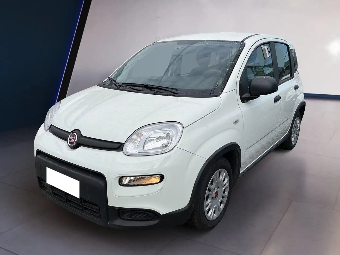 Fiat Panda My23 1.0 70cv Hybrid Panda Blanc - 2