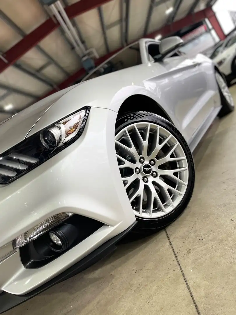 Ford Mustang ECOBOOST+LEDER+SHZ+DE-FHZG+UNFALLFREI+GARANTIE Silber - 2