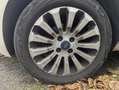 Ford Ka/Ka+ Ka Ka 1.2 Start-Stopp-System Titanium Weiß - thumbnail 4
