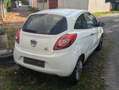 Ford Ka/Ka+ Ka Ka 1.2 Start-Stopp-System Titanium Weiß - thumbnail 2