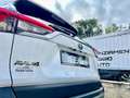 Toyota RAV 4 2.5 Business 2WD-i 218cv IVAESP/PRONTACONS/KMCERT Bianco - thumbnail 7
