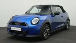 Mini Other Classic Trim