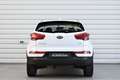 Kia Sportage Platinum Edition 4WD+Aut+Pano+Deluxe Wit - thumbnail 6