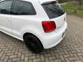 Volkswagen Polo 1.2 TSI Highline 17INCH I PANO I NWE BANDEN I CRUI Blanc - thumbnail 13