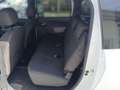 Dacia Lodgy LODGY Supreme TCe 115 S&S 5-sitzig Weiß - thumbnail 9