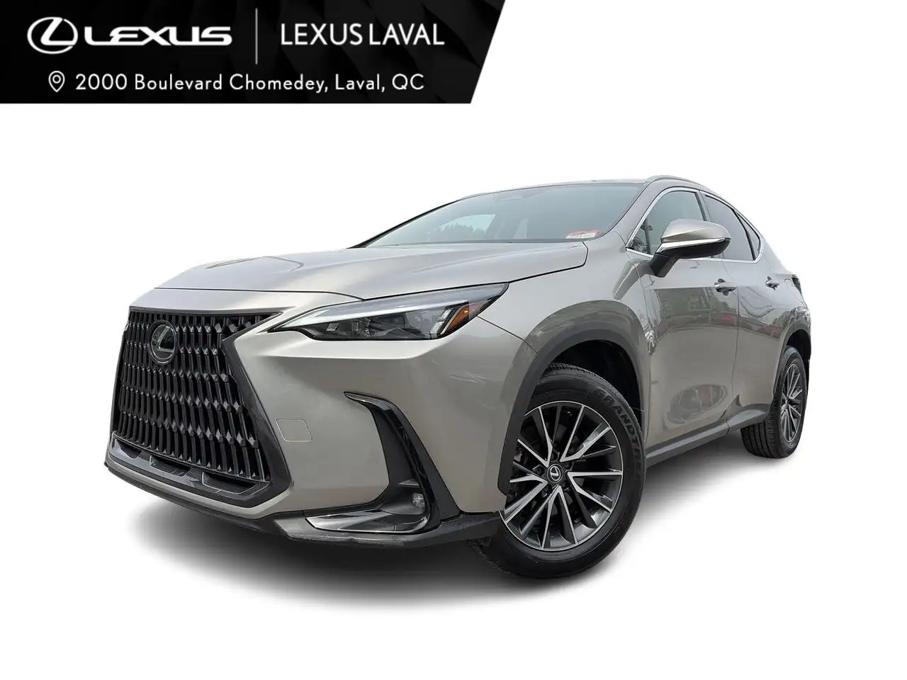 2023 Lexus NX