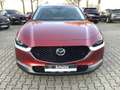Mazda CX-30 2.0-X AWD Leder Bose Matrix-LED AHK Selection Roşu - thumbnail 8