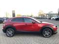 Mazda CX-30 2.0-X AWD Leder Bose Matrix-LED AHK Selection Roşu - thumbnail 2
