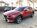 Mazda CX-30 2.0-X AWD Leder Bose Matrix-LED AHK Selection Roşu - thumbnail 7
