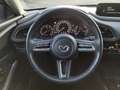 Mazda CX-30 2.0-X AWD Leder Bose Matrix-LED AHK Selection Roşu - thumbnail 12