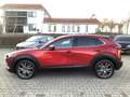 Mazda CX-30 2.0-X AWD Leder Bose Matrix-LED AHK Selection Roşu - thumbnail 6