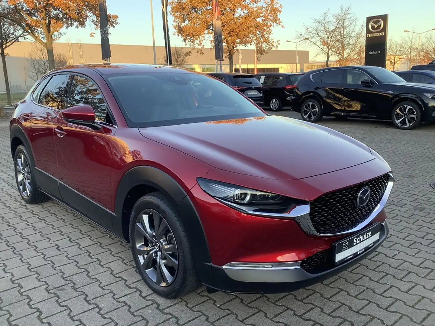 Mazda CX-30 2.0-X AWD Leder Bose Matrix-LED AHK Selection Roşu - 1