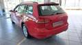 Volkswagen Golf Variant 1.6 TDI 115 CV Business BlueM. Tech.Az. Italia Rouge - thumbnail 20