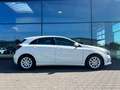 Mercedes-Benz A 180 Style LED Navi Einparkhilfe Sitzhzng. 16" Blanc - thumbnail 27