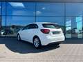 Mercedes-Benz A 180 Style LED Navi Einparkhilfe Sitzhzng. 16" Blanc - thumbnail 25